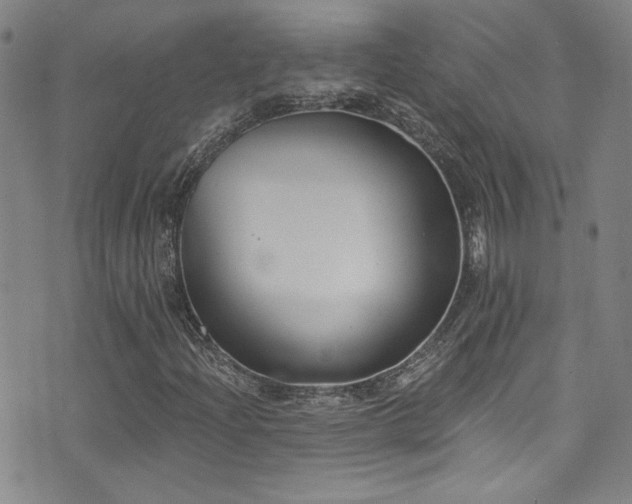 X0000073441204200607281208