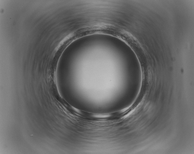 X0000073441210200607281208