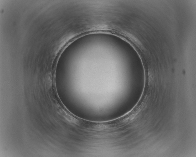X0000073441212200607281208