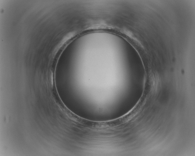 X0000073441221200607281208