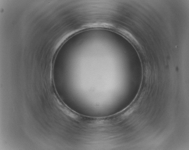 X0000073441228200607281208