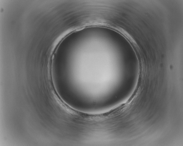 X0000073441246200607281208