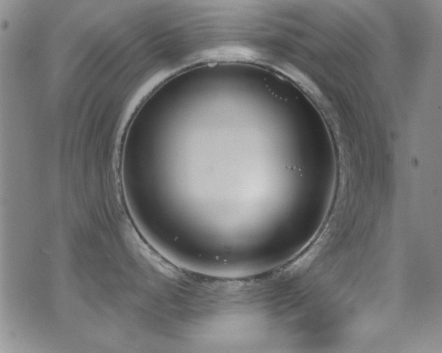 X0000073441248200607281208