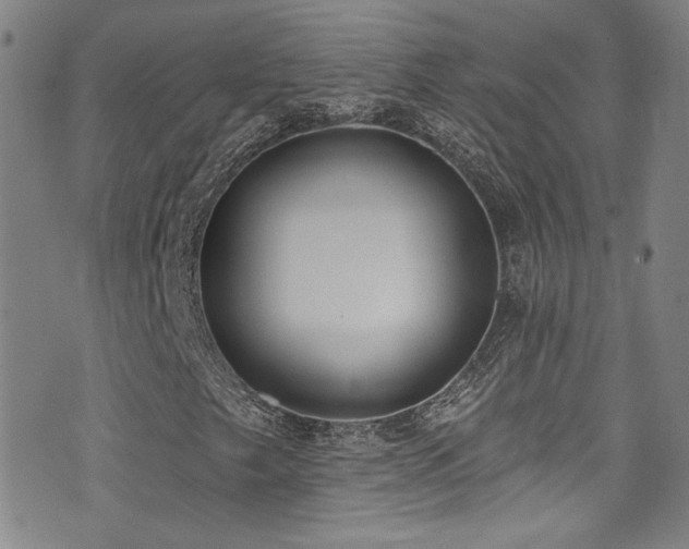X0000073441249200607281208