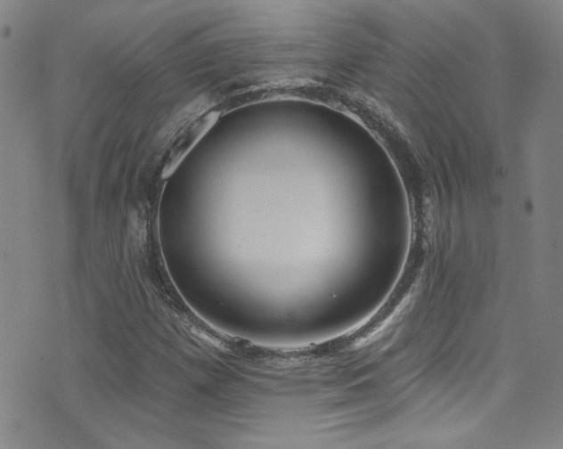 X0000073441257200607281207