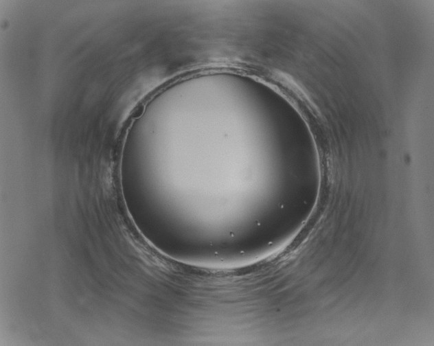 X0000073441260200607281207