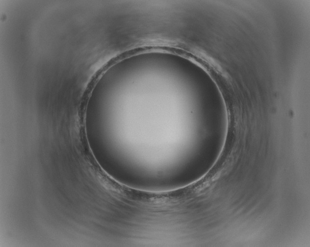 X0000073441264200607281207