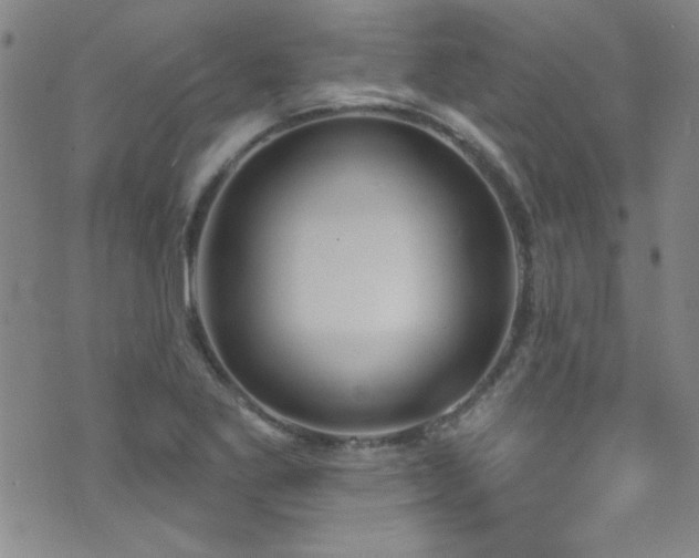 X0000073441269200607281207