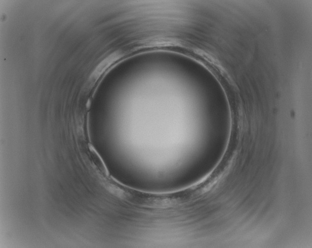 X0000073441273200607281207