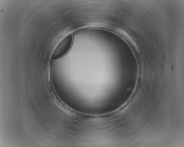 X0000073441276200607281207