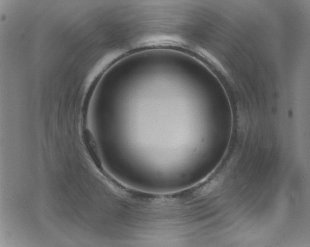 X0000073441277200607281207