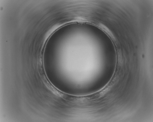 X0000073441292200607281207