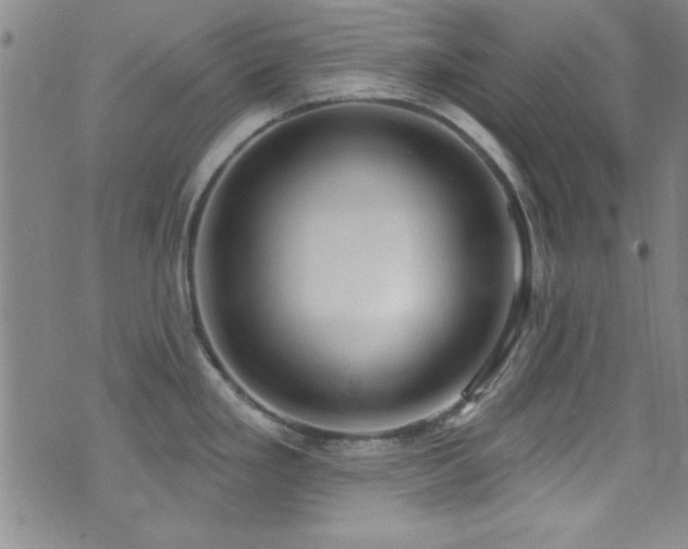 X0000073441293200607281207