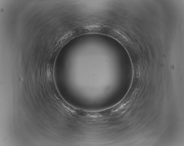X0000073441298200607281206
