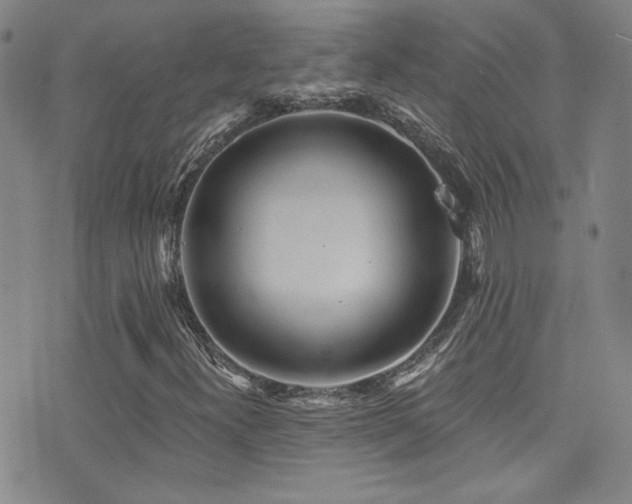 X0000073441300200607281206