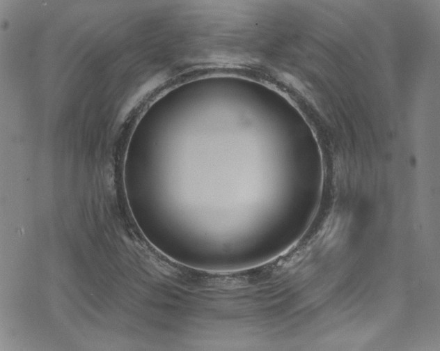 X0000073441307200607281206