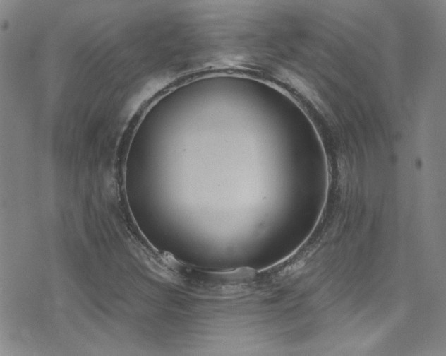 X0000073441308200607281206
