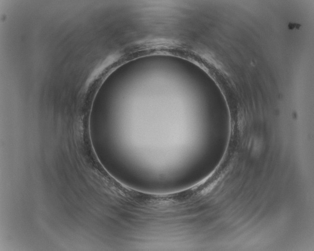 X0000073441309200607281206