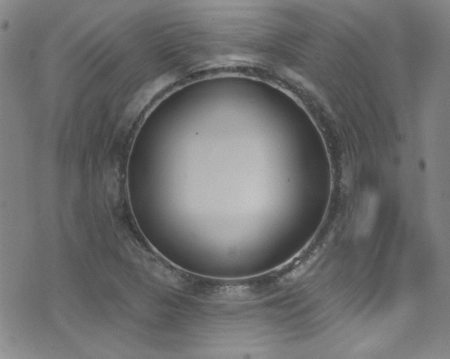 X0000073441313200607281206