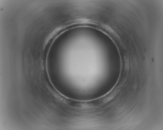 X0000073441318200607281206