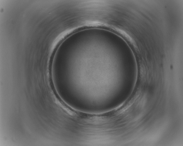 X0000073441327200607281206