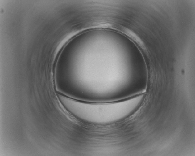 X0000073441332200607281207