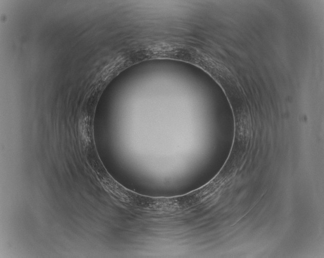 X0000073441346200607281206