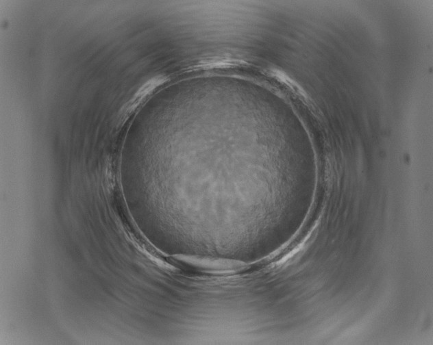 X0000073441353200607281206