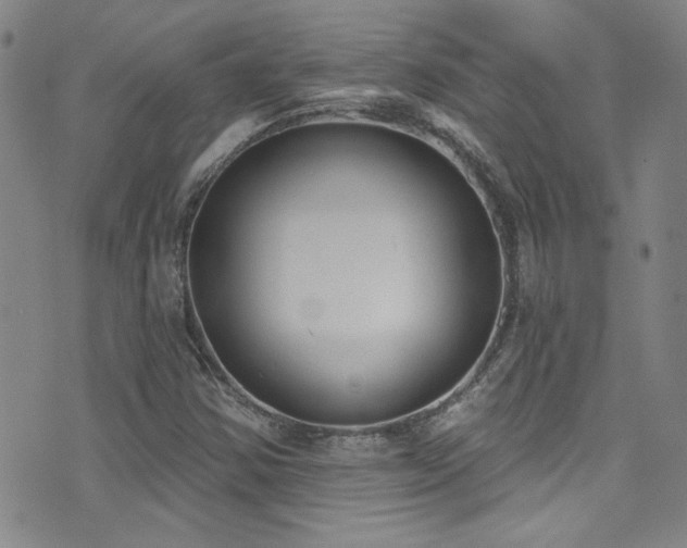 X0000073441354200607281206