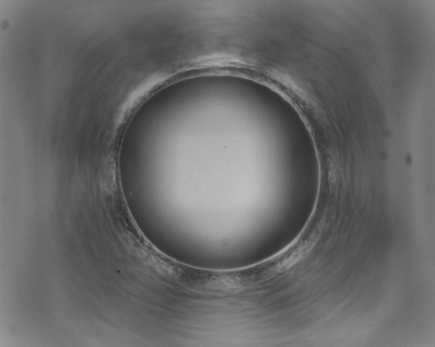 X0000073441358200607281206