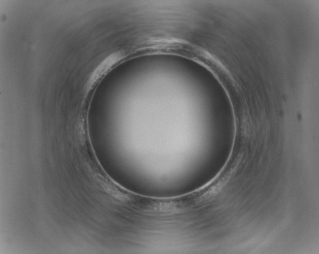 X0000073441362200607281206