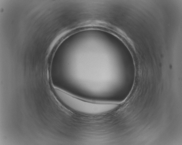 X0000073441368200607281206