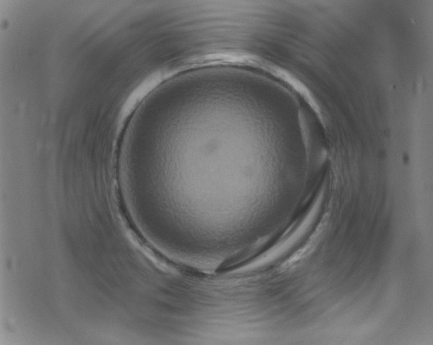 X0000073441373200607281206