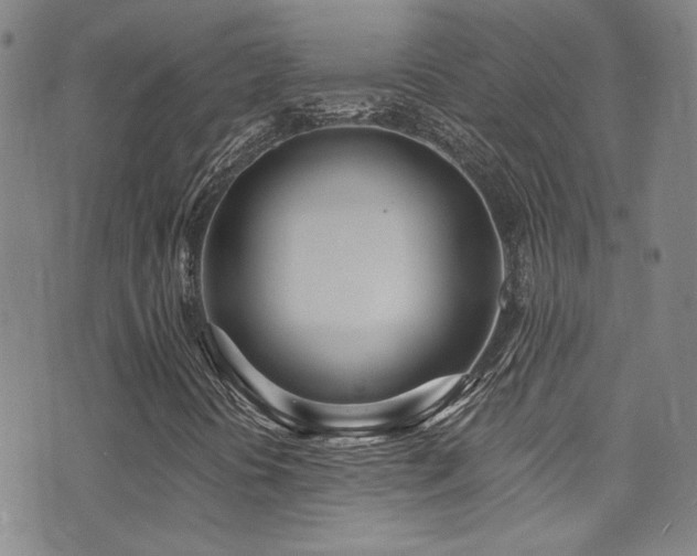 X0000073441394200607281204