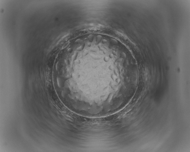 X0000073441399200607281205