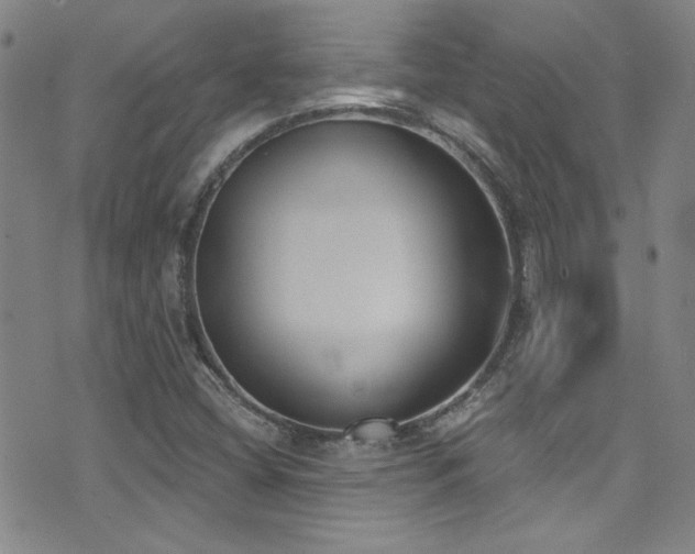 X0000073441404200607281205