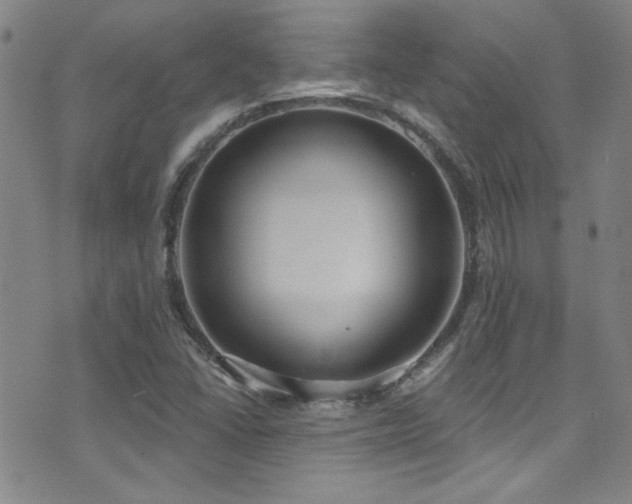 X0000073441406200607281205