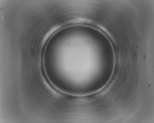 X0000073441418200607281205