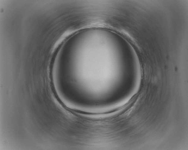 X0000073441422200607281205