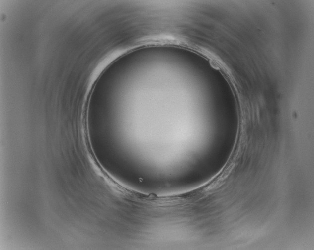 X0000073441440200607281205