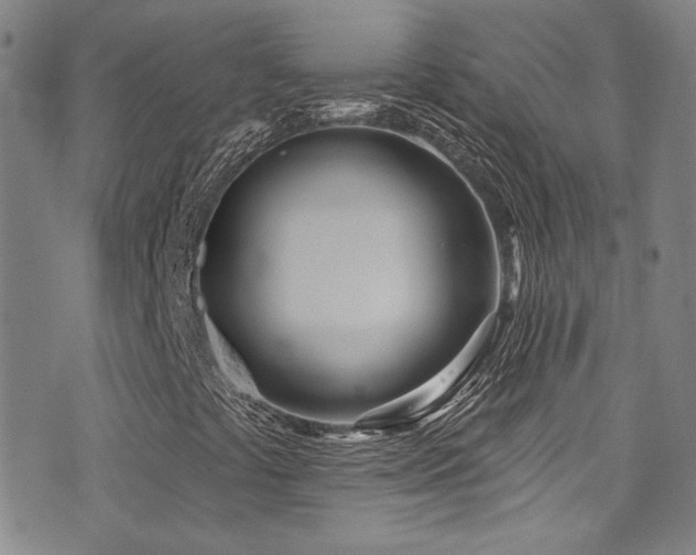 X0000073441441200607281204