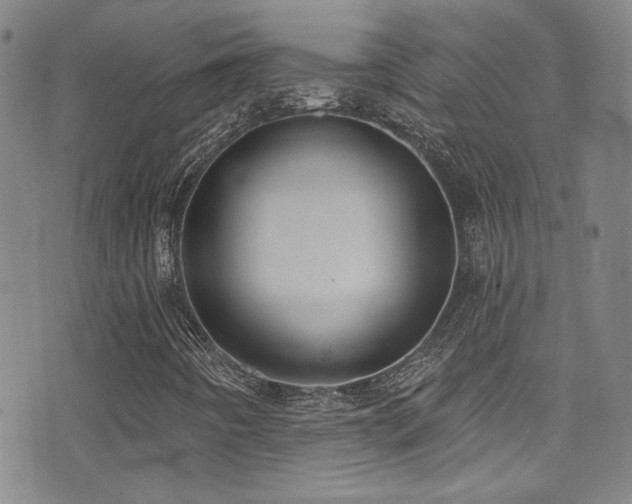 X0000073441442200607281204