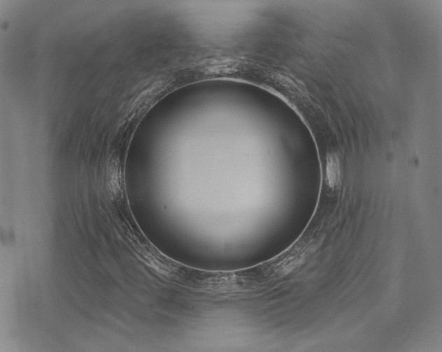 X0000073441444200607281204