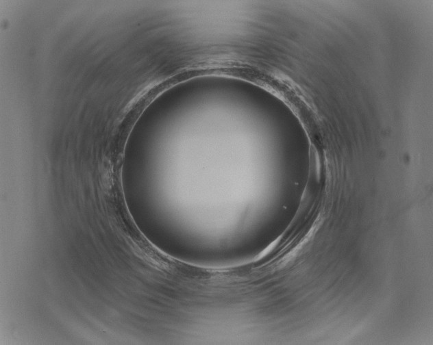 X0000073441449200607281204