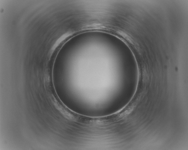 X0000073441458200607281204