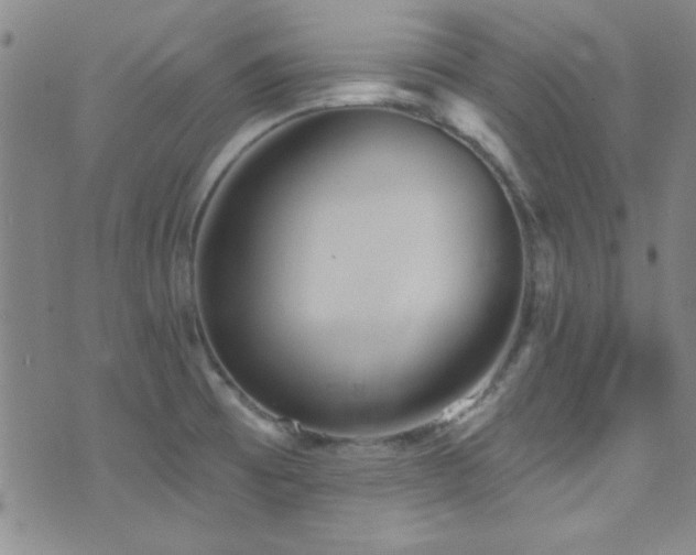 X0000073441473200607281204