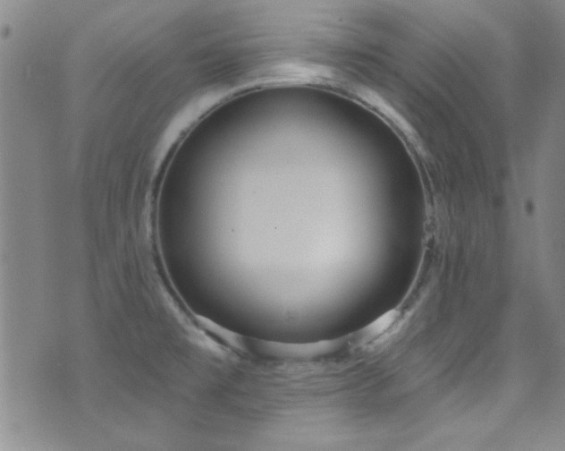 X0000073441477200607281204
