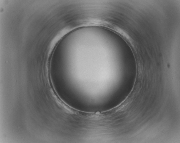 X0000073441480200607281204