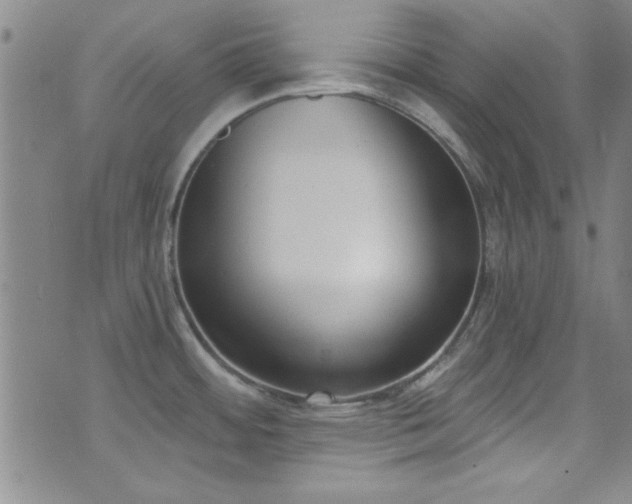 X0000073441484200607281204