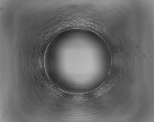 X0000073441490200607281203